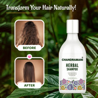 Chandramani Ayurvedic Shampoo | Sulfate & Paraben Free Ayurvedic Shampoo
