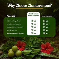 Chandramani Ayurvedic Shampoo | Sulfate & Paraben Free Ayurvedic Shampoo